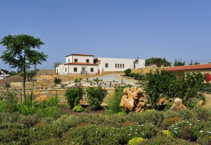 Luxury Estate with Vineyards - Land & Gardens